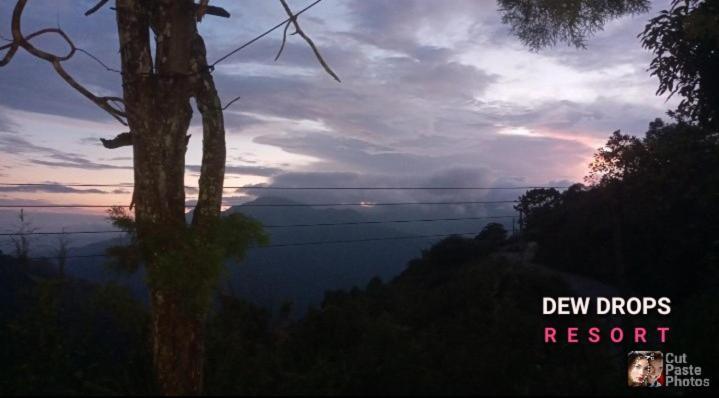 Dew Drop Resort เอลลา ภายนอก รูปภาพ