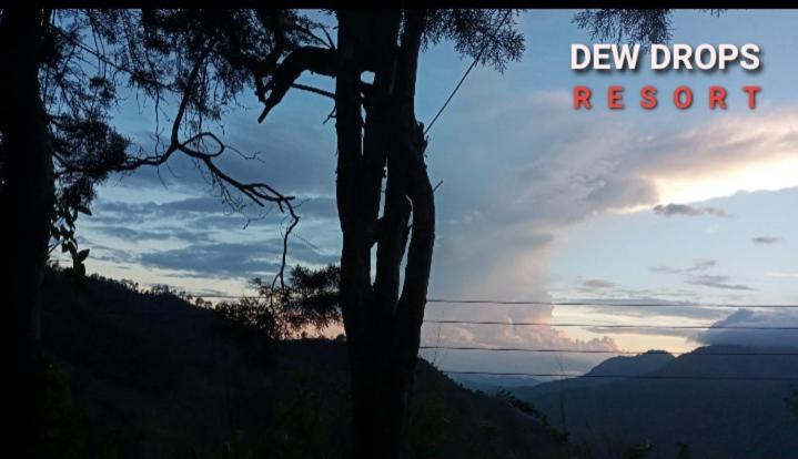 Dew Drop Resort เอลลา ภายนอก รูปภาพ