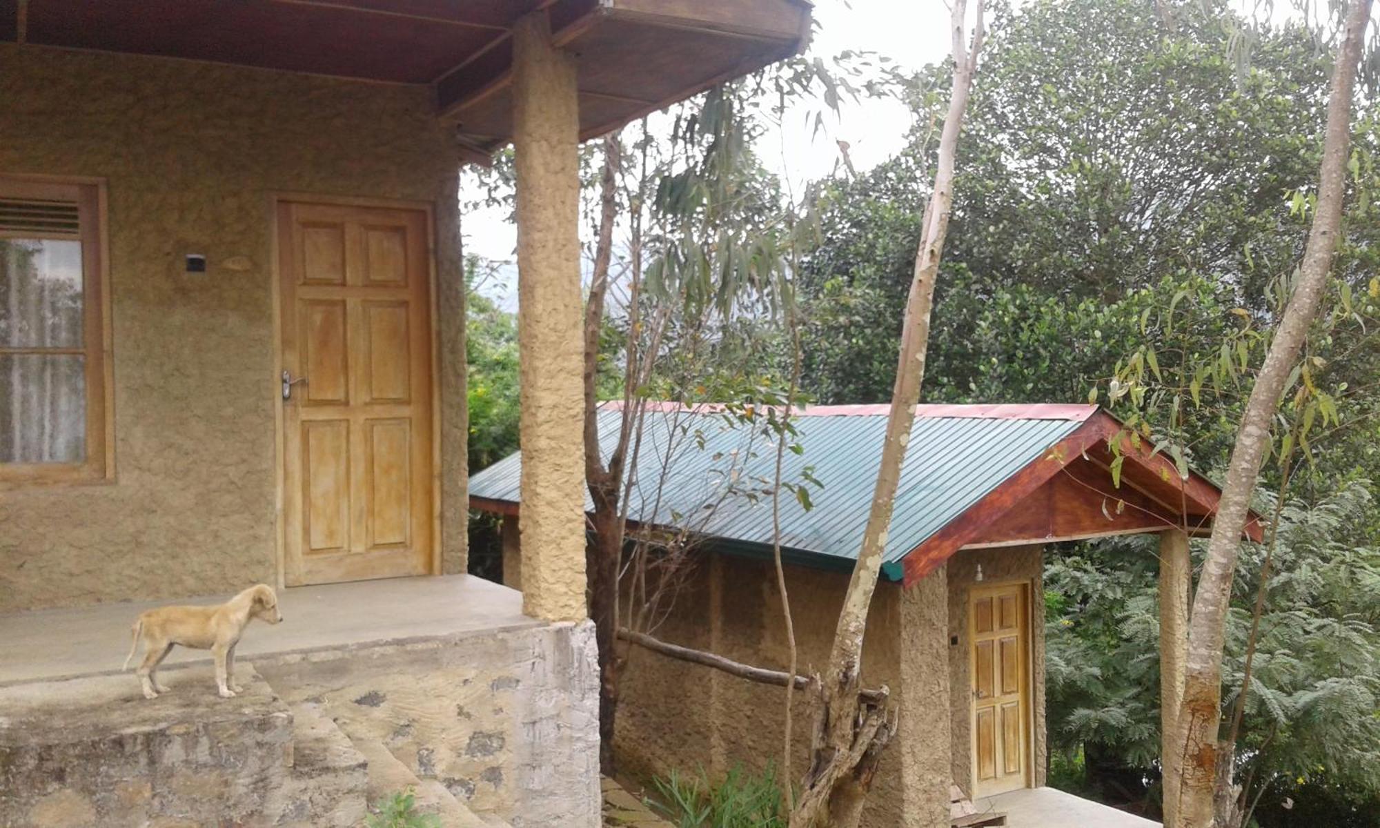 Dew Drop Resort เอลลา ภายนอก รูปภาพ
