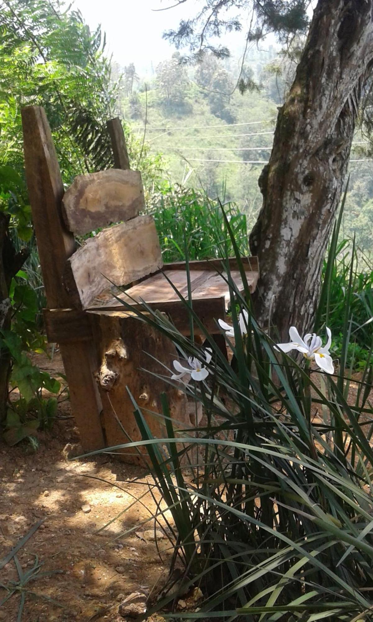 Dew Drop Resort เอลลา ภายนอก รูปภาพ