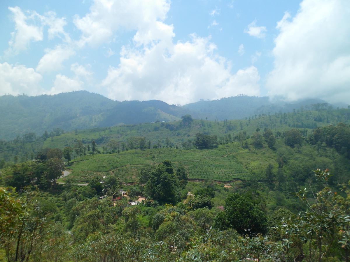 Dew Drop Resort เอลลา ภายนอก รูปภาพ
