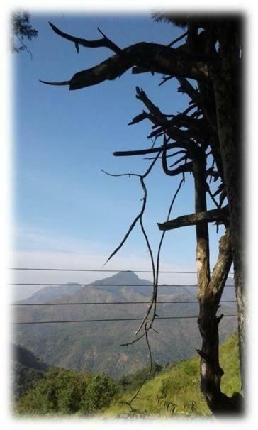 Dew Drop Resort เอลลา ภายนอก รูปภาพ